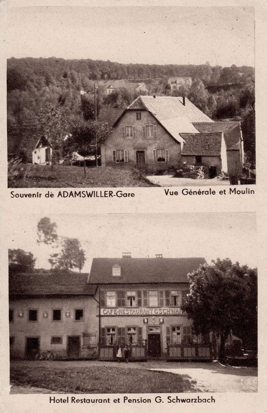 Vue de Adamswiller
