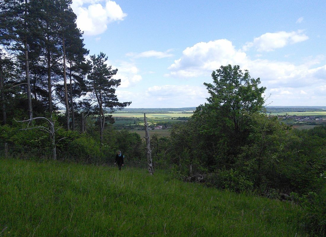 Vue de Allamps