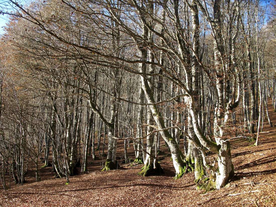 Vue de Alos