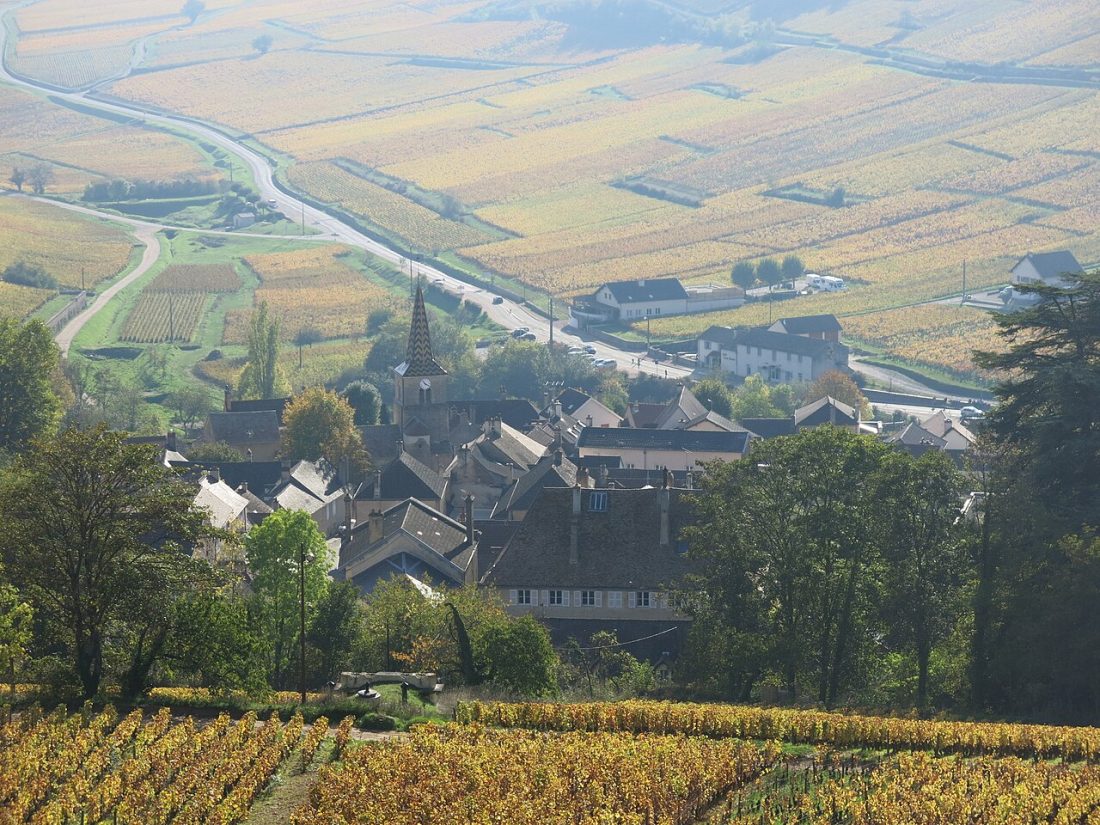 Vue de Aloxe-Corton