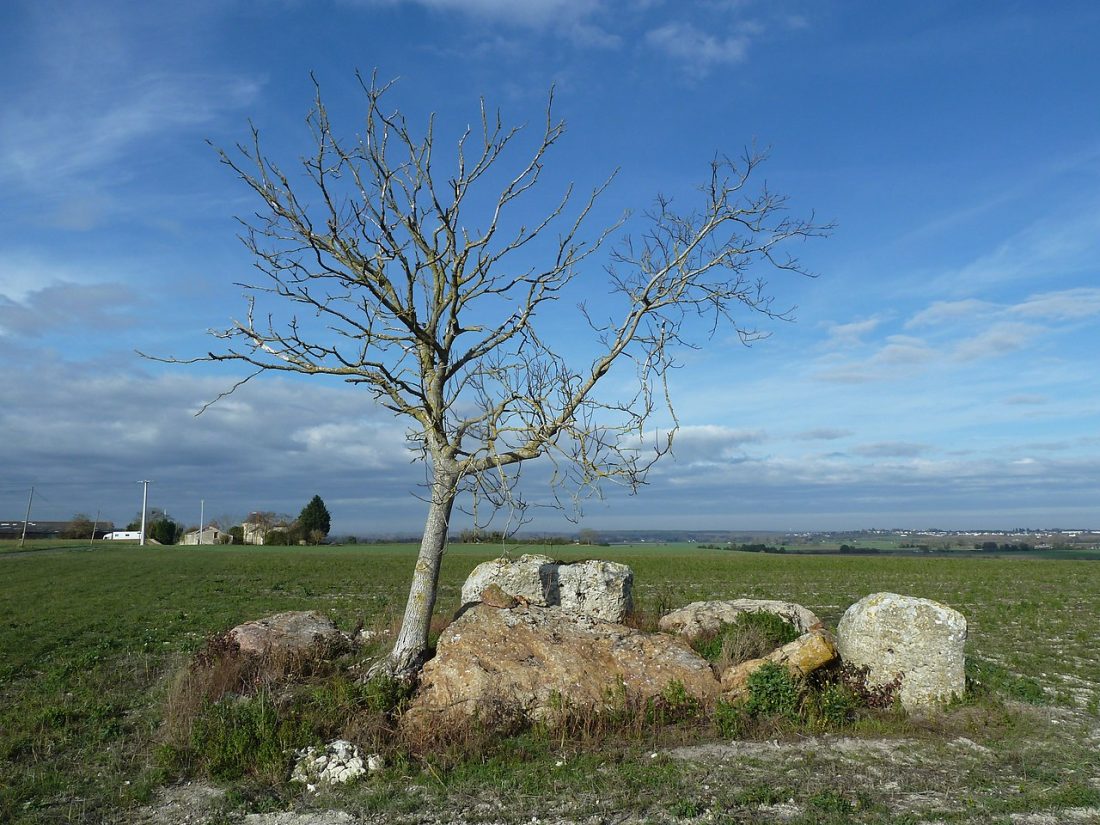 Vue de Antoigné