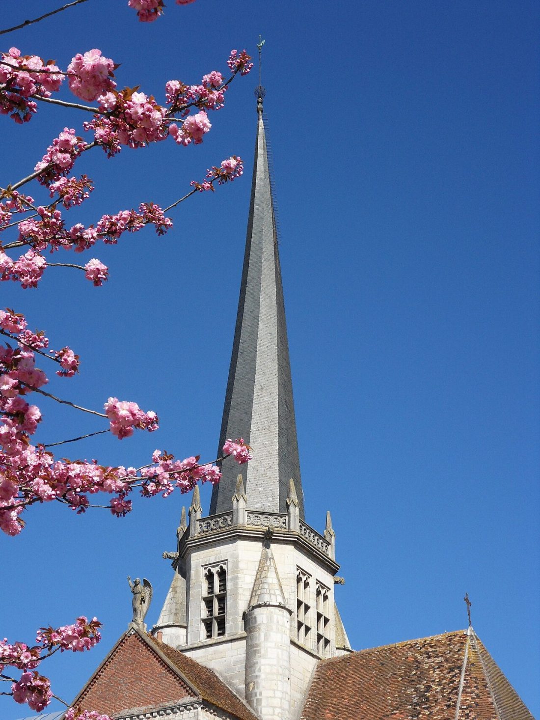 Vue de Auxonne