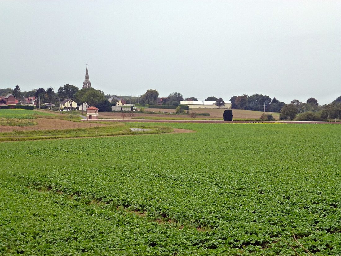 Vue de Avesnes-lès-Bapaume