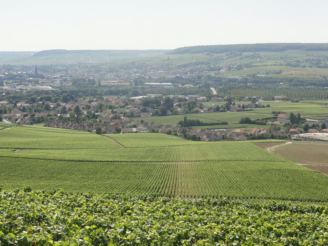 Vue de Aÿ-Champagne