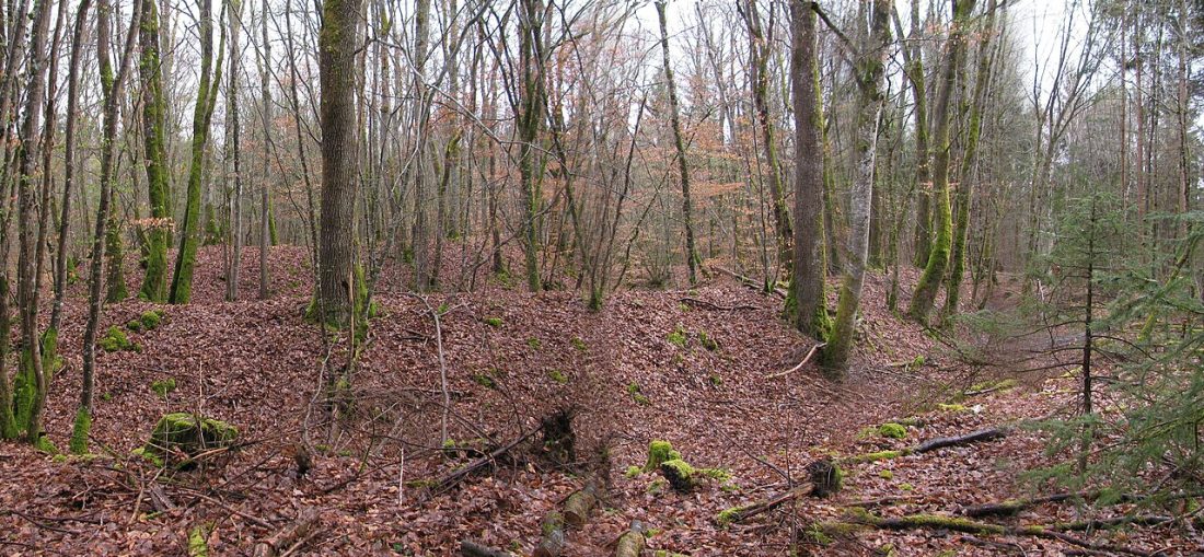 Vue de Azy-le-Vif