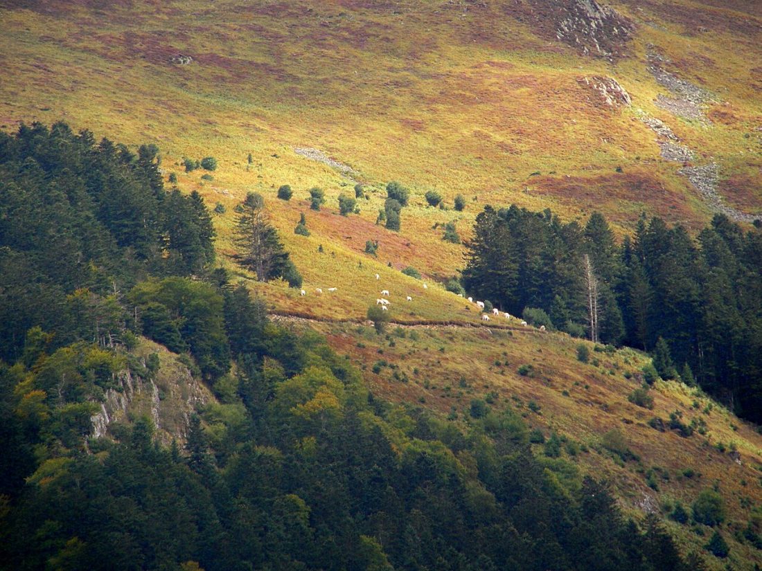 Vue de Bagnères-de-Bigorre