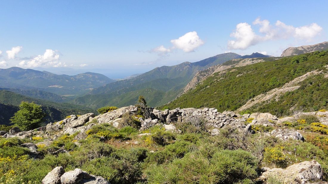 Vue de Balogna