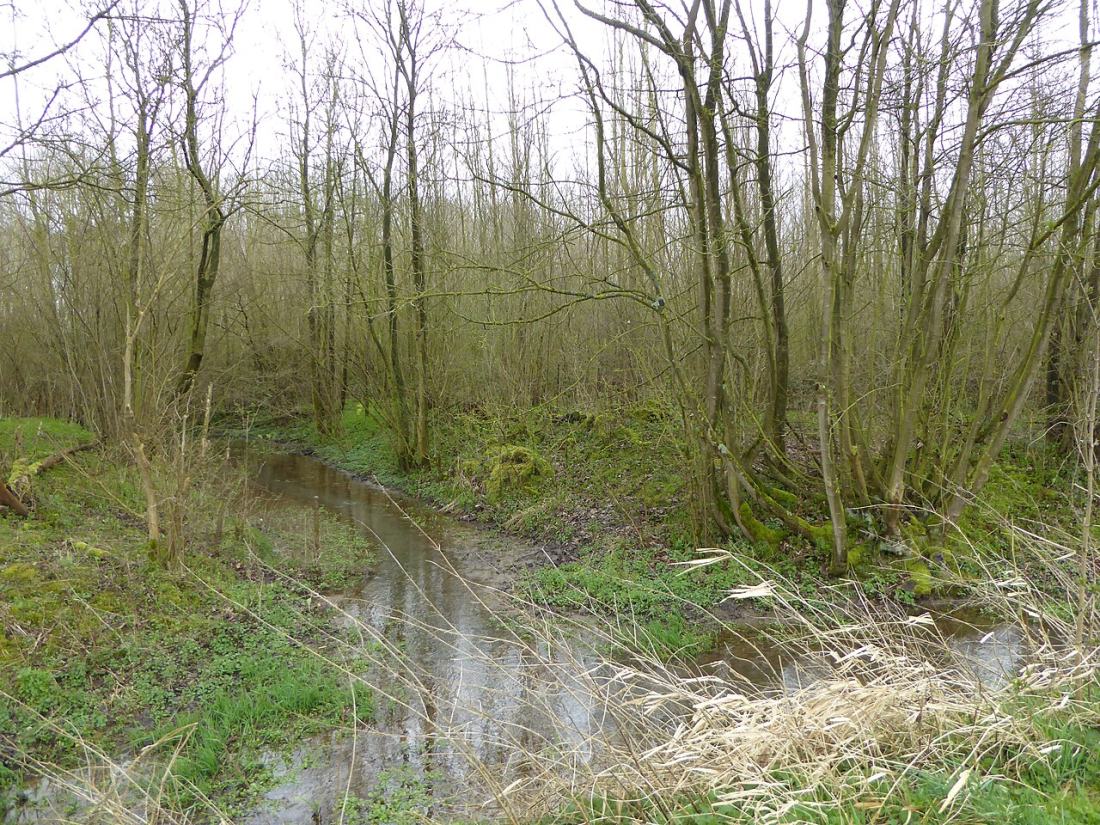 Vue de Beaucamps-Ligny