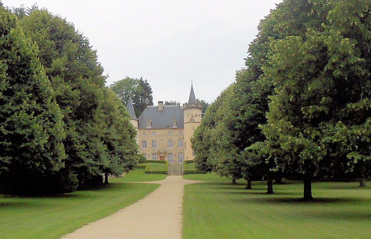 Vue de Belmont-lès-Darney