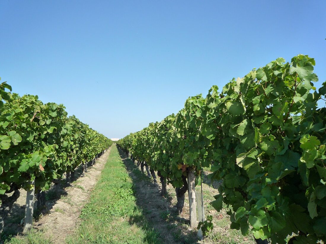 Vue de Bergerac