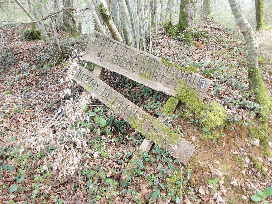 Vue de Biencourt-sur-Orge