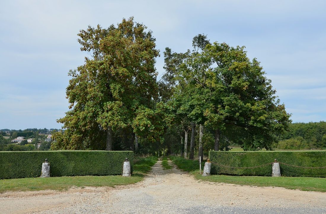 Vue de Bioussac