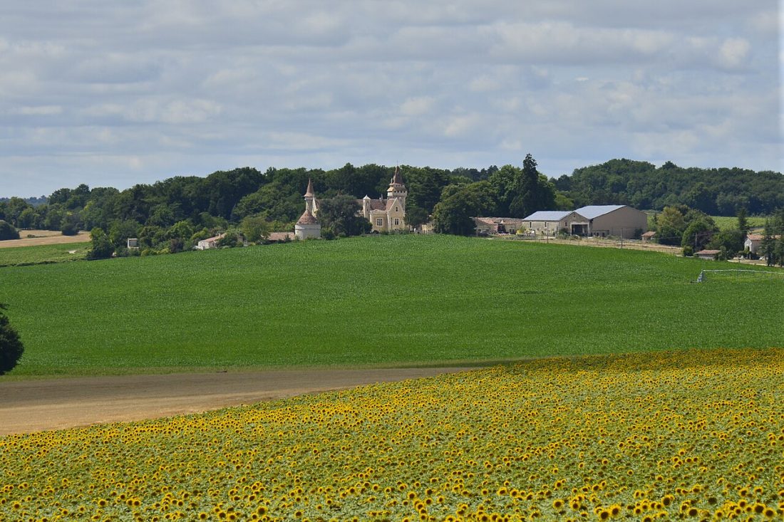Vue de Blanzaguet-Saint-Cybard