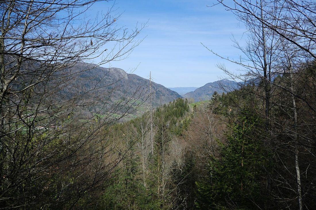 Vue de Bluffy