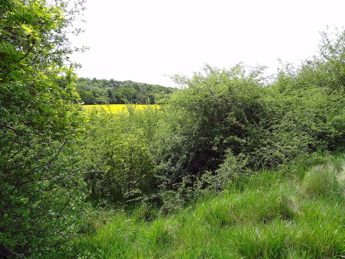 Vue de Boncourt