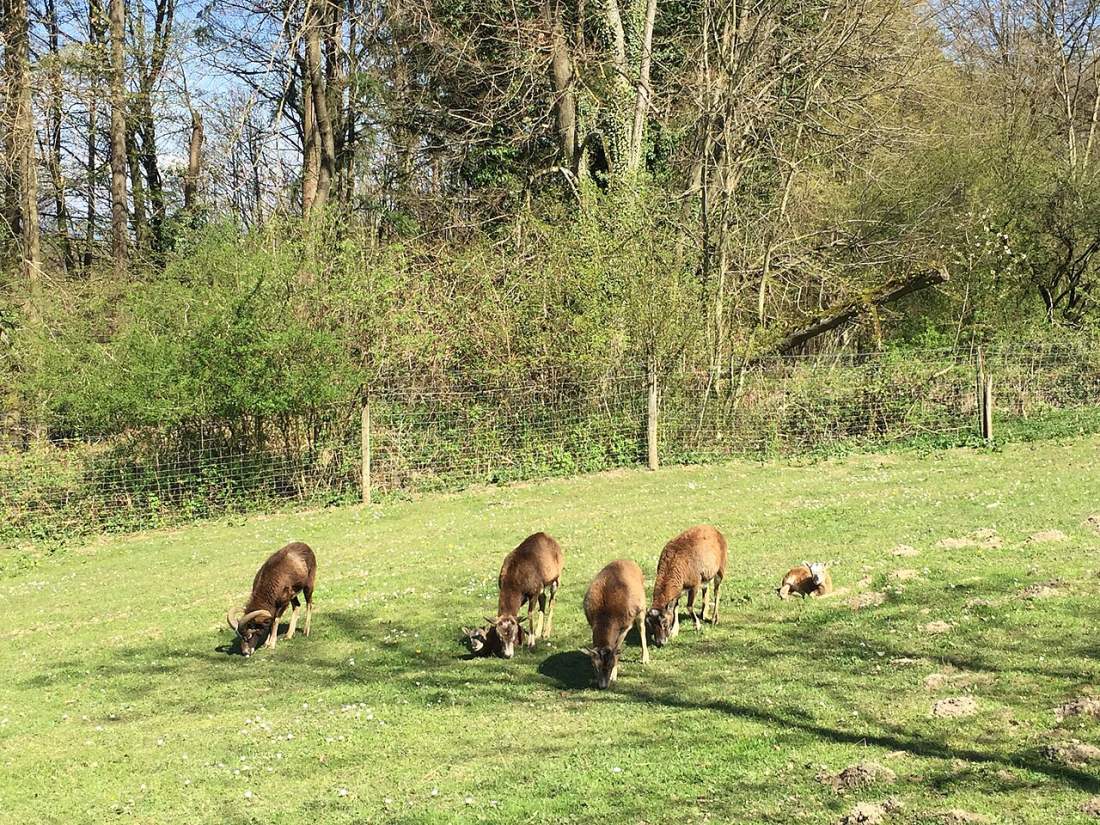 Vue de Bonnefamille