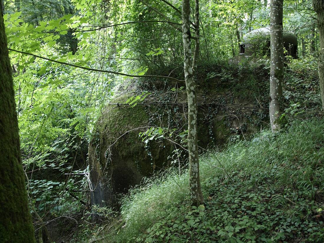 Vue de Boust