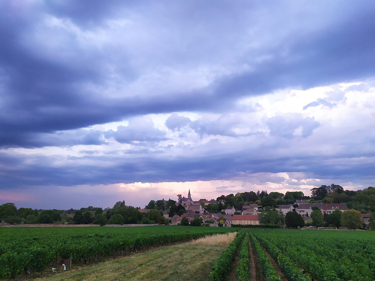 Vue de Bouzeron