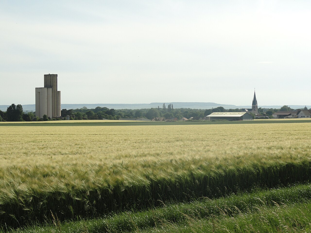 Vue de Bouzy