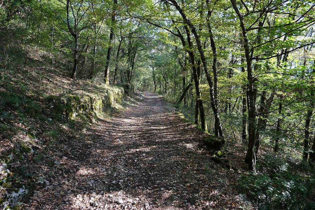 Vue de Brison-Saint-Innocent