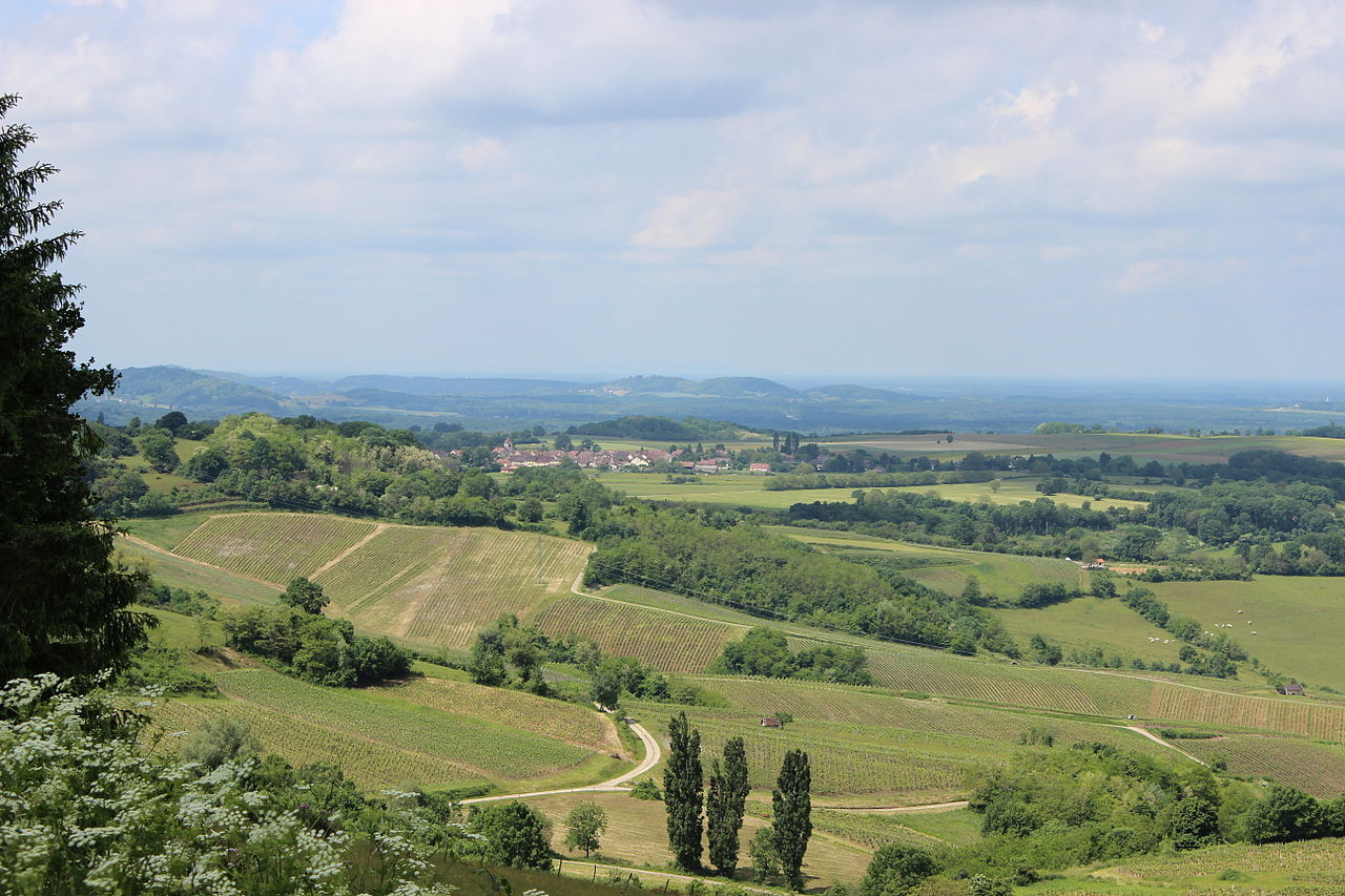 Vue de Buvilly