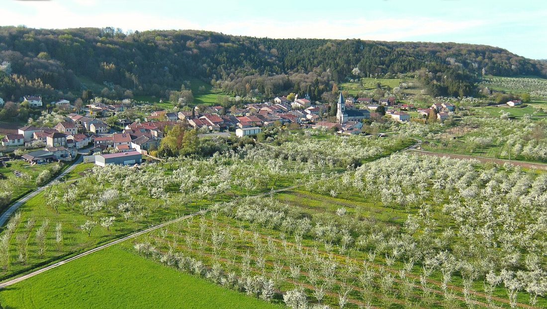 Vue de Buxières-sous-les-Côtes