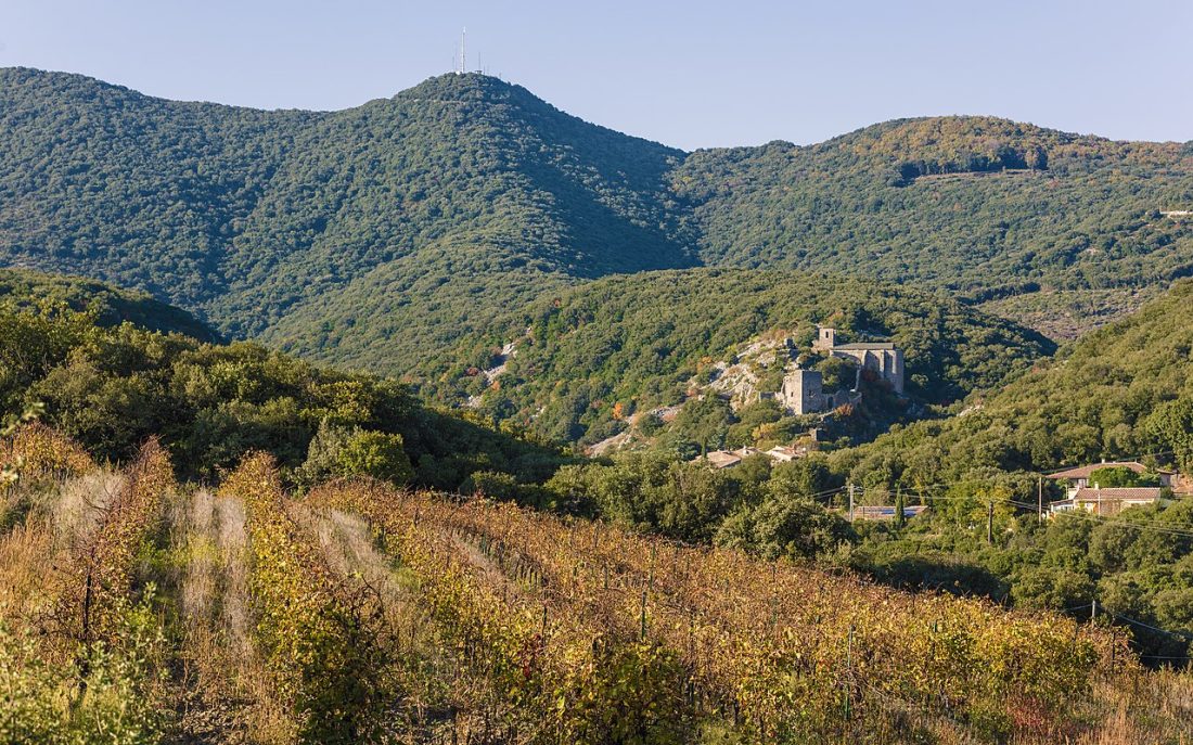 Vue de Cabrerolles