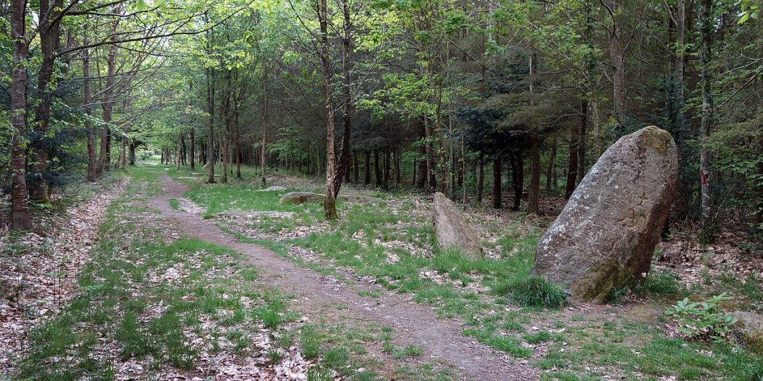 Vue de Camors