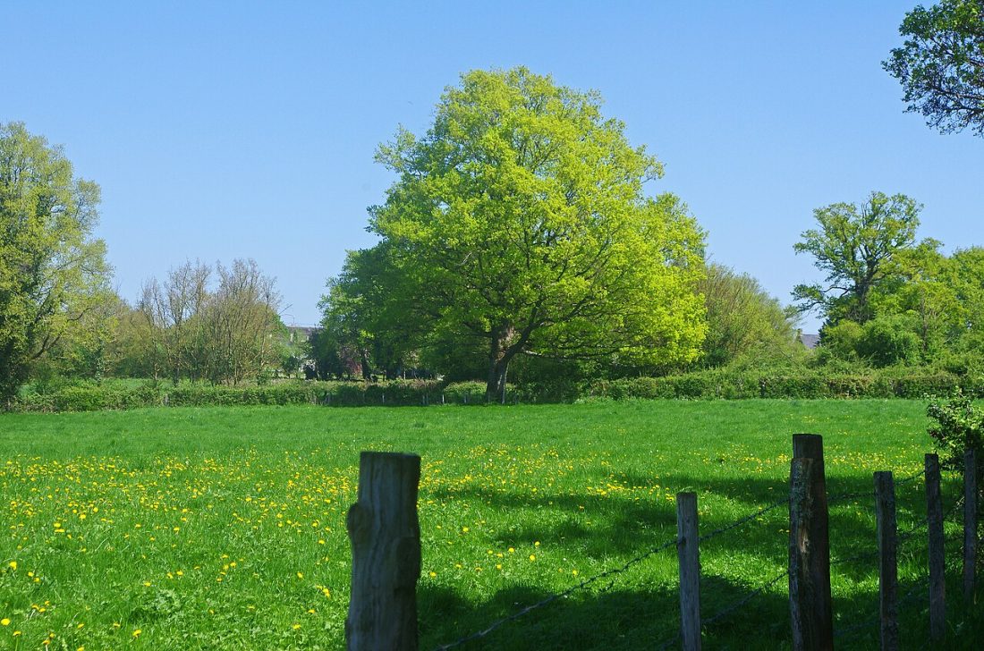 Vue de Ceaulmont