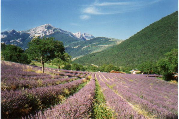 Vue de Chamaloc