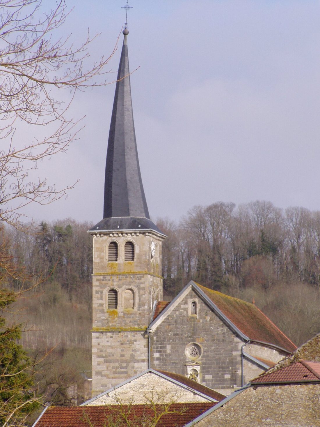 Vue de Champigneulles-en-Bassigny
