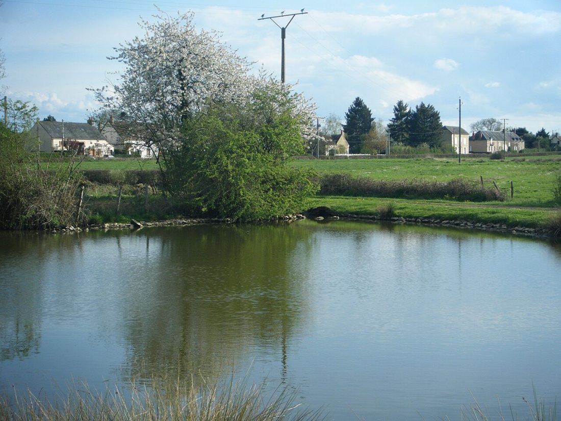 Vue de Champlin