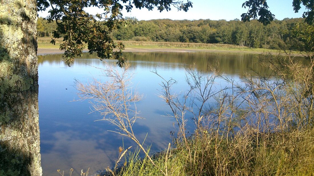 Vue de Chanteloup-les-Bois