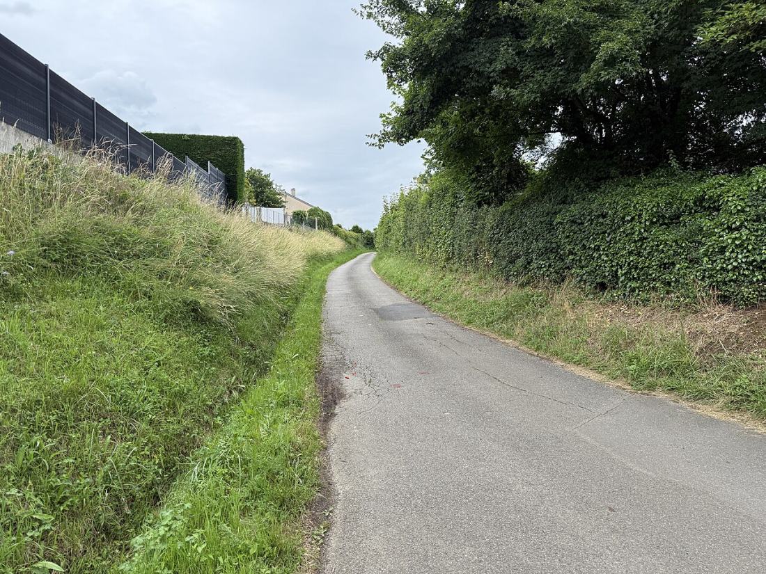 Vue de Charnay-lès-Mâcon