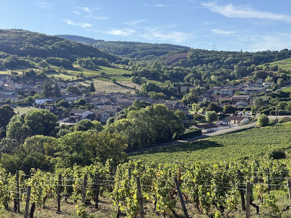 Vue de Chasselas