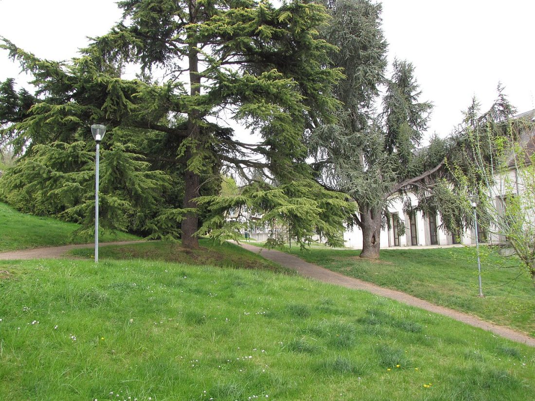 Vue de Château-Renard