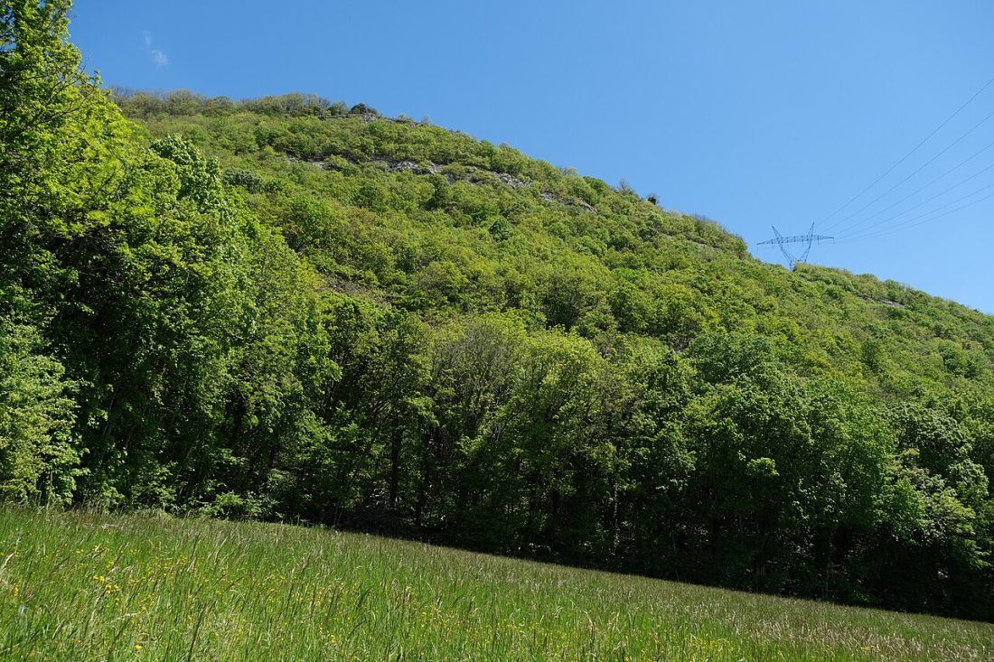 Vue de Chaumont