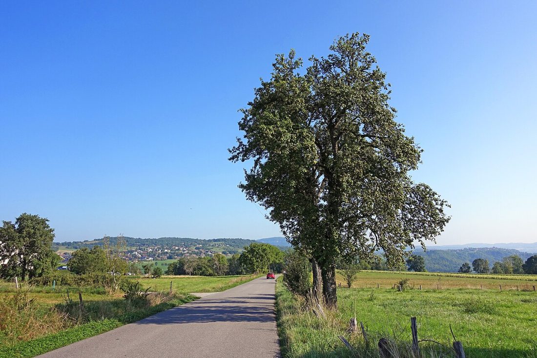 Vue de Chavanod
