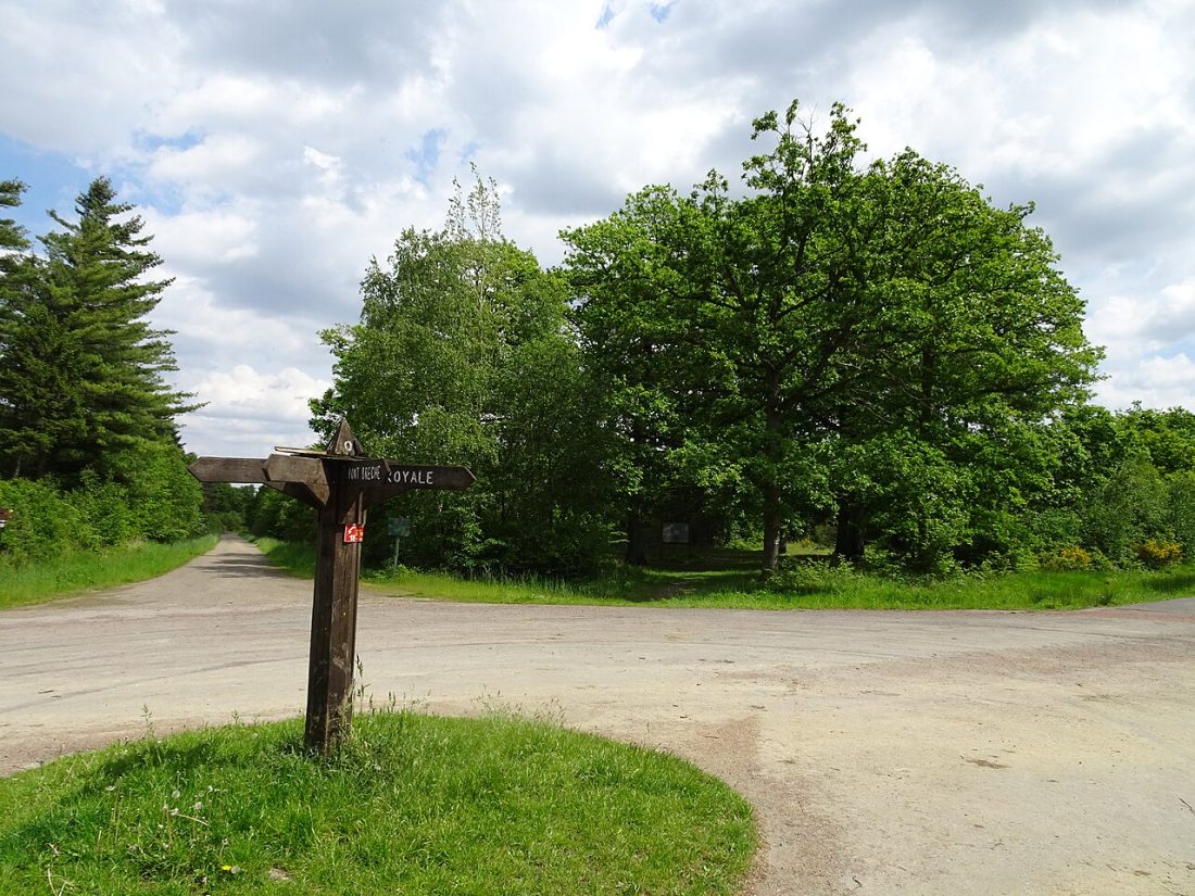 Vue de Clairmarais