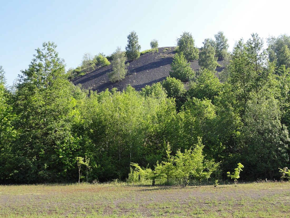 Vue de Condé-sur-l'Escaut