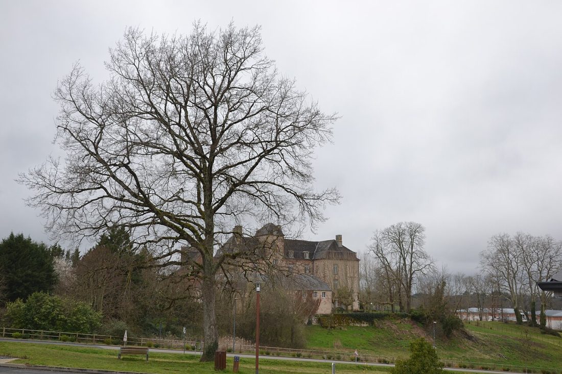 Vue de Cosnac