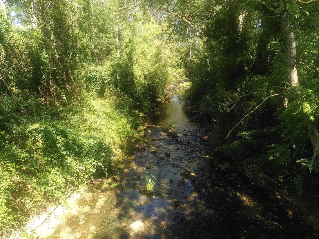 Vue de Couargues