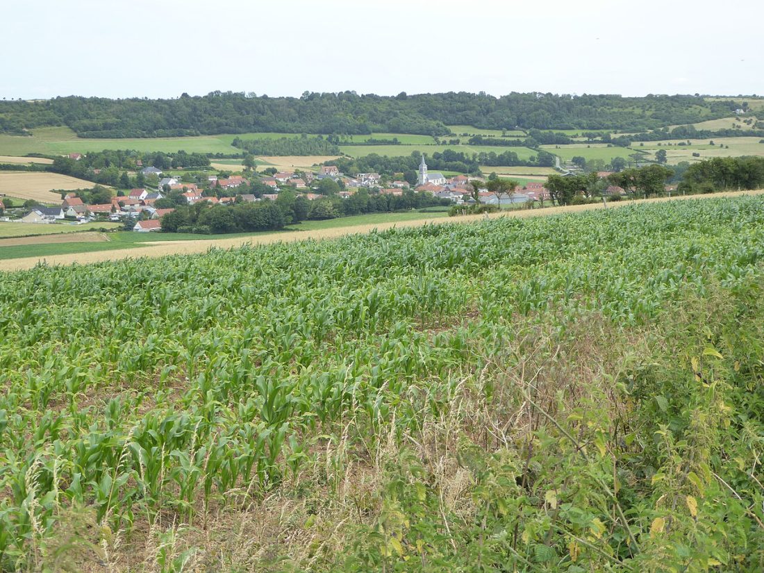 Vue de Coulomby
