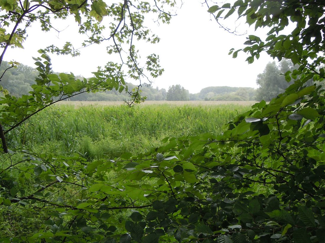 Vue de Courcelles-sur-Viosne