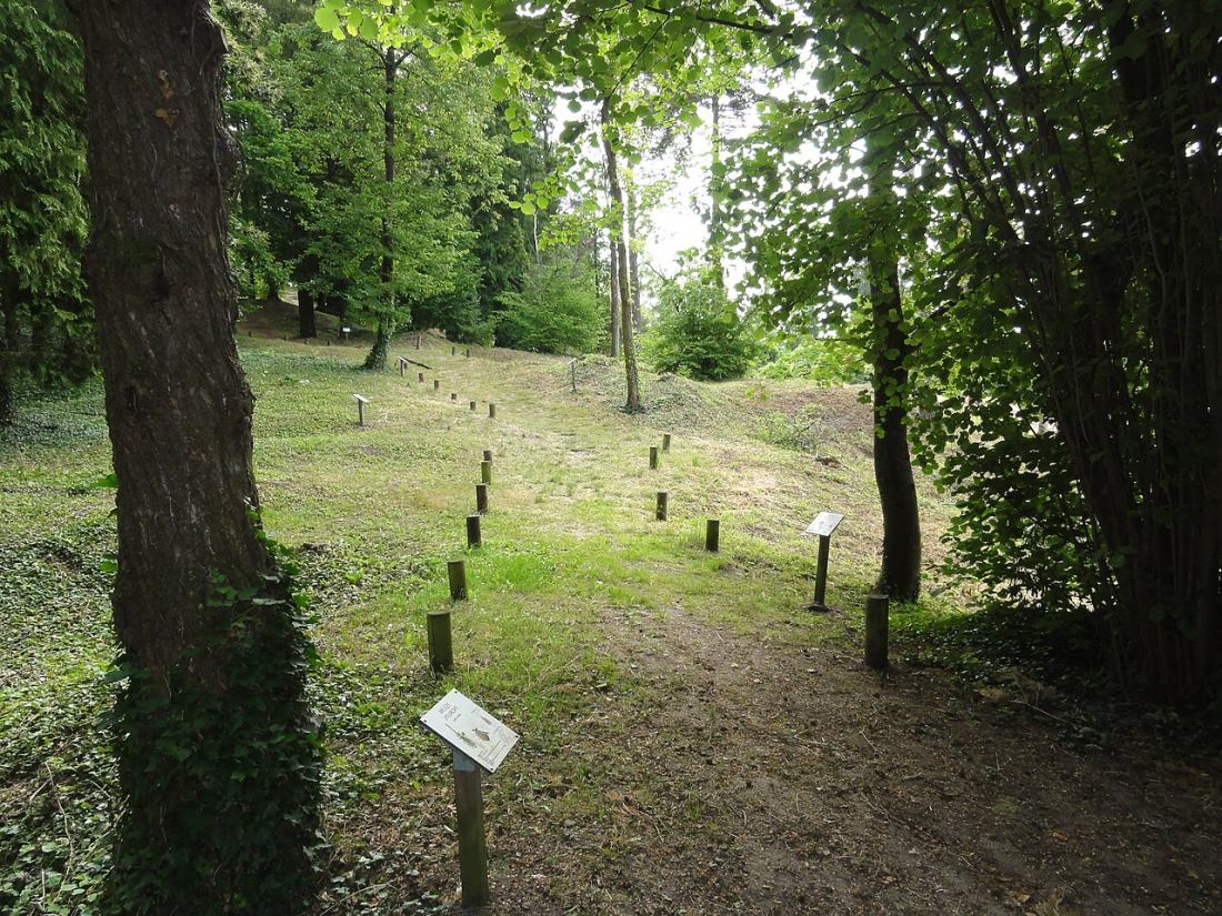 Vue de Craonne