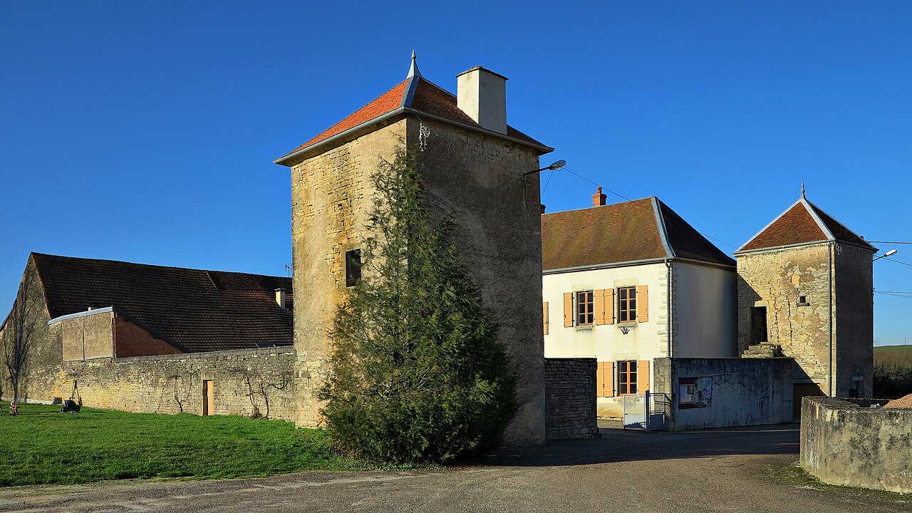 Vue de Cult