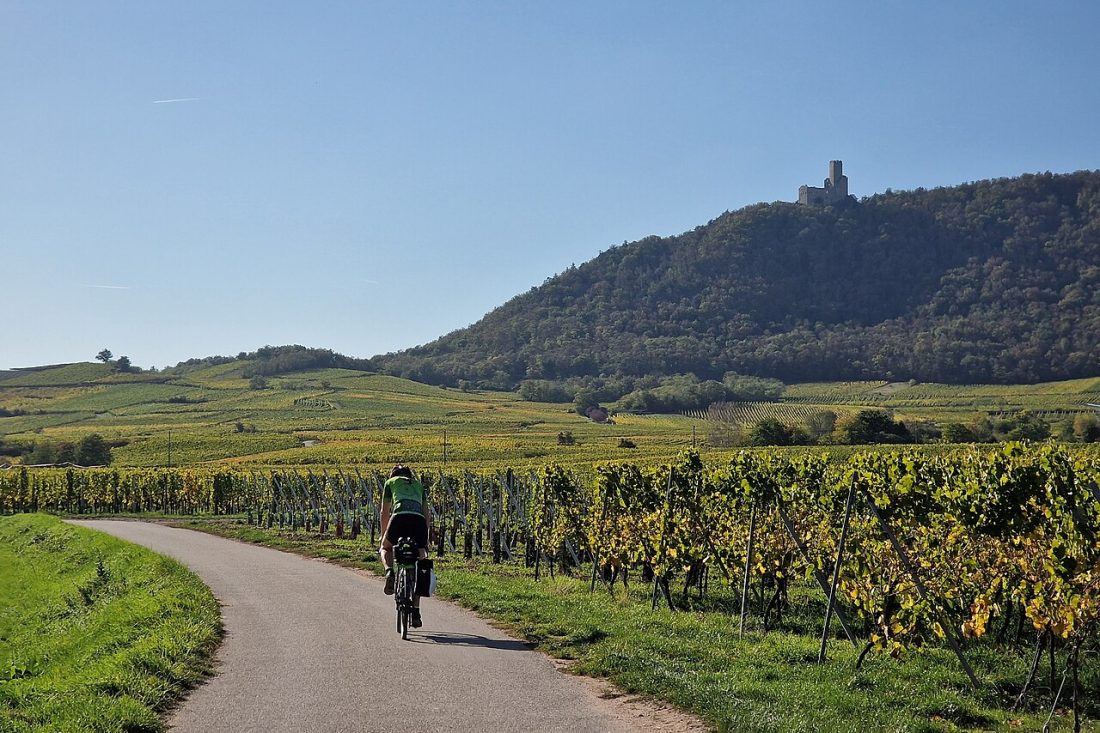 Vue de Dieffenthal