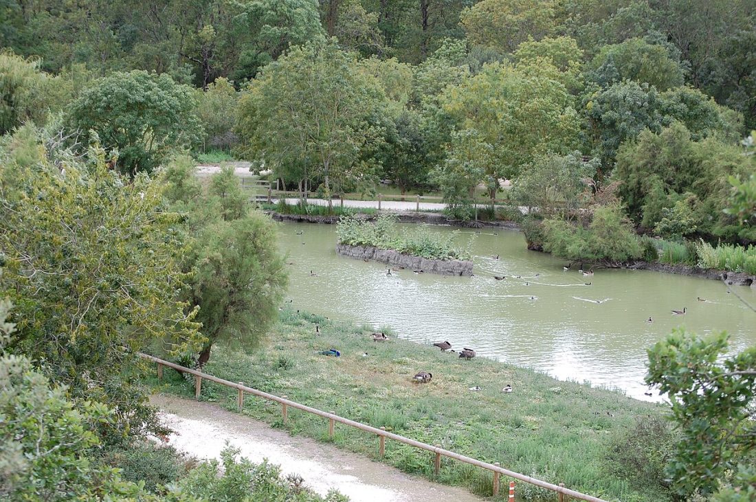 Vue de Dolus-d'Oléron
