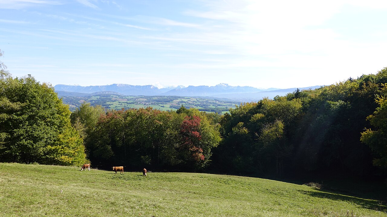 Vue de Droisy