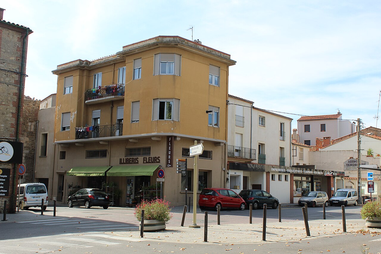 Vue de Elne